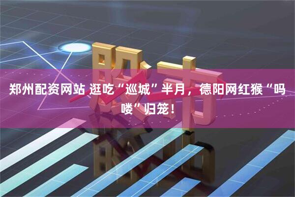 郑州配资网站 逛吃“巡城”半月，德阳网红猴“吗喽”归笼！