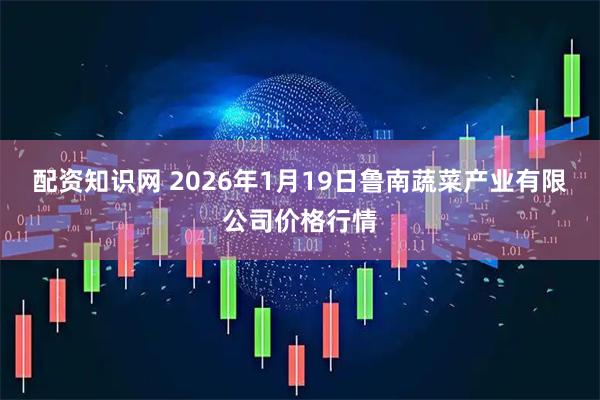 配资知识网 2026年1月19日鲁南蔬菜产业有限公司价格行情