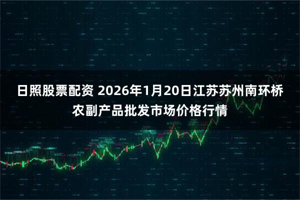 日照股票配资 2026年1月20日江苏苏州南环桥农副产品批发市场价格行情